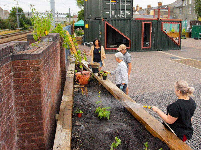 Railway Gardens - (by Green Squirrel)